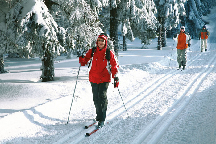 Лыжники в тюрингенском лесу