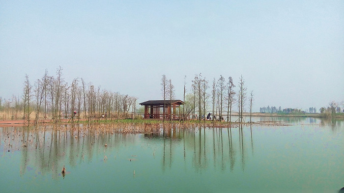 Тайху - озеро в дельте реки Янцзы