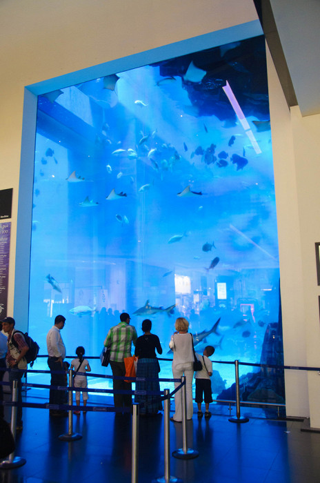 Вид на аквариум в Дубае
