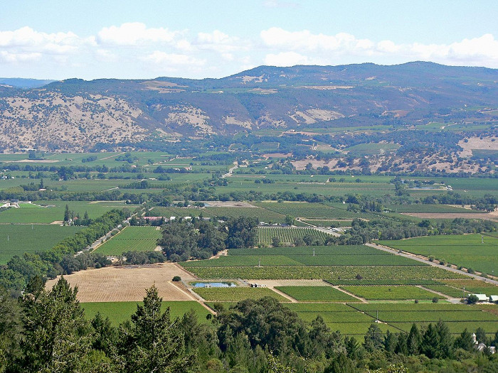 Типичный пейзаж долины Напа, Калифорния