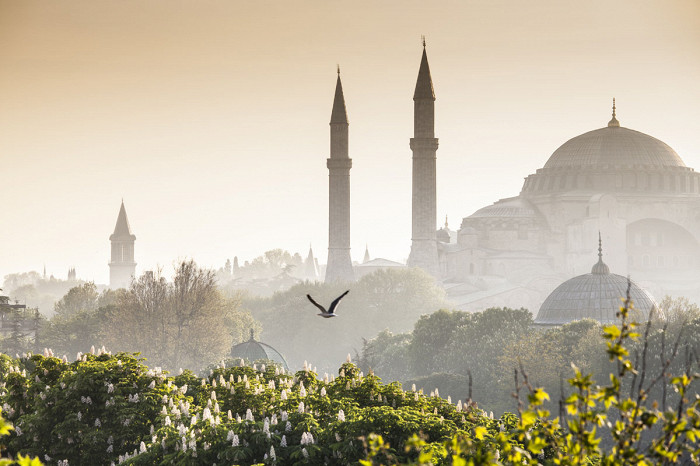 Голубая мечеть в тумане, Стамбул