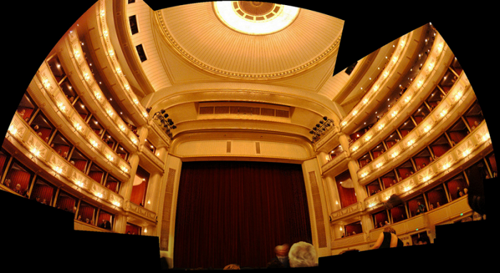 Сцена Венской оперы