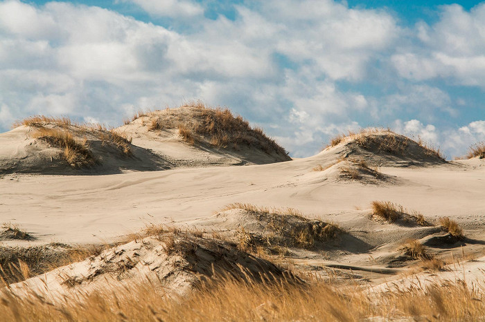 Песчаные дюны на Куршской косе