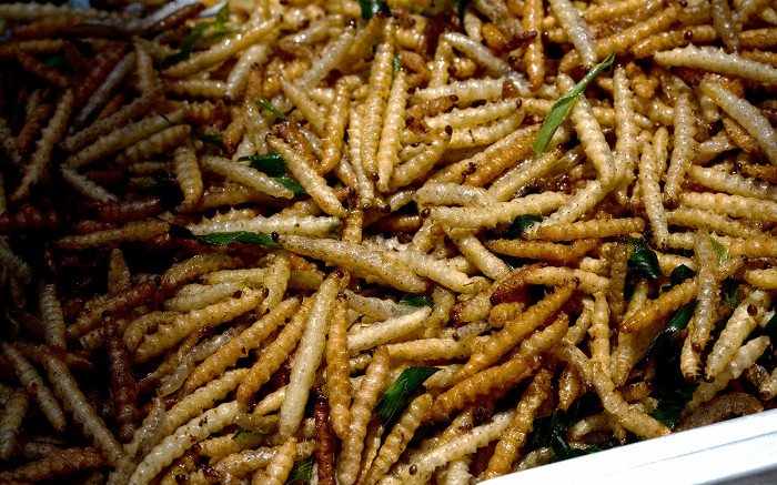Жареные бамбуковые черви