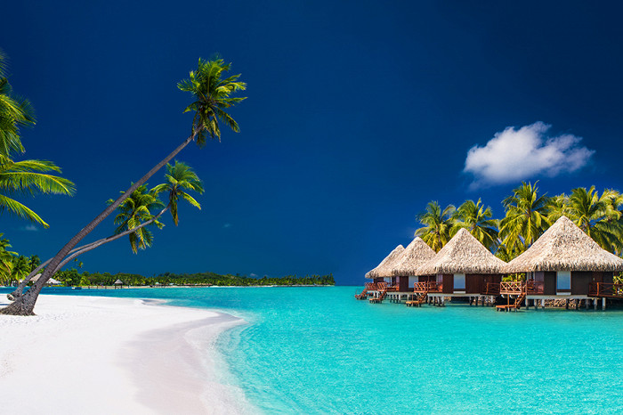 7 причин никогда не отдыхать на Мальдивах2