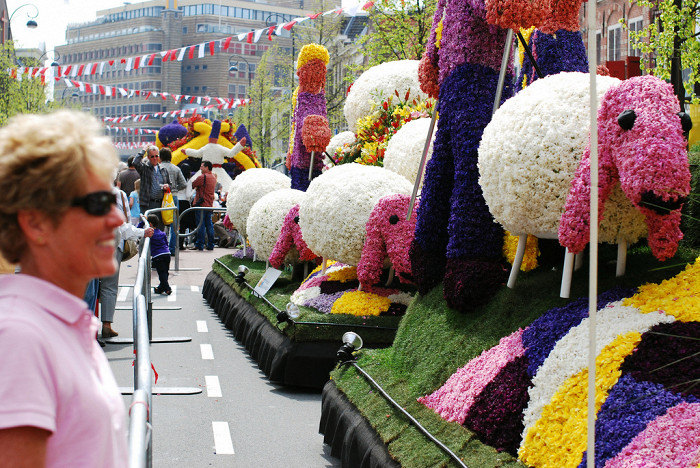 Фестиваль цветов в Нидерландах