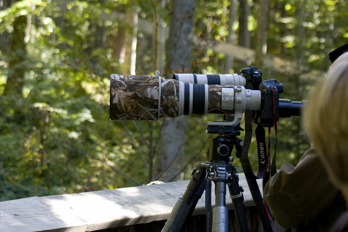 Баварский лес - для профессиональных фотографов