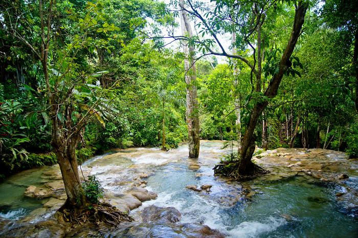 Shona river фото