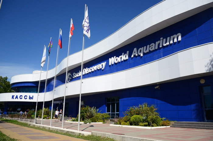 Адлерский океанариум Sochi Discovery World Aquarium
