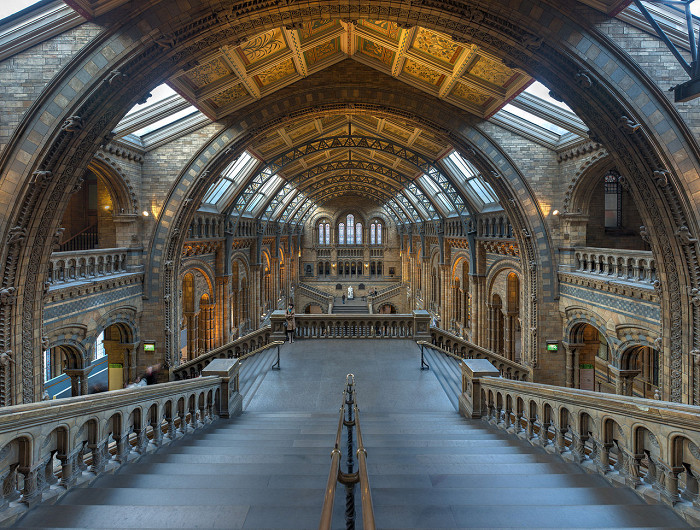 Музей естественной истории в Лондоне, центральный зал