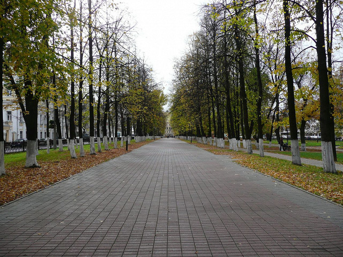 Первомайская улица ярославль фото