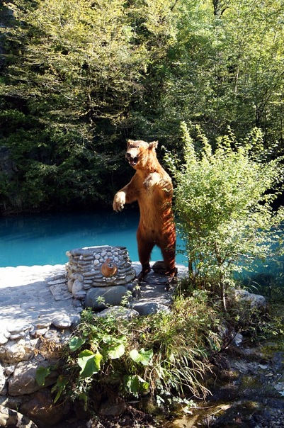 Медведь на Голубом озере, Гагра, Абхазия