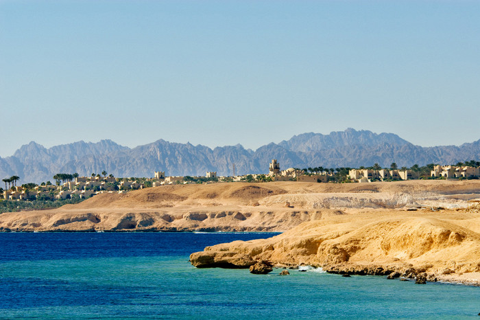 Обитатели красного моря шарм эль шейх у берега фото с названиями