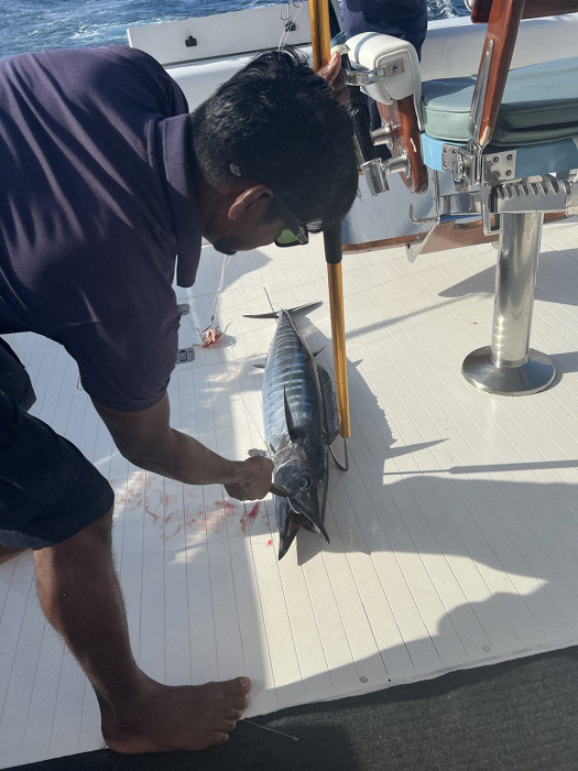Рыбалка на Мальдивах3