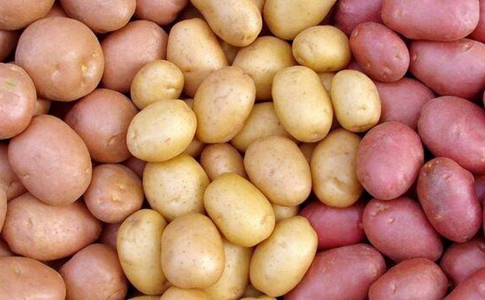 6 фактов и домыслов о картофеле4