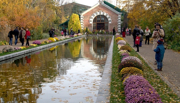 Аптекарский огород в москве фото оранжереи