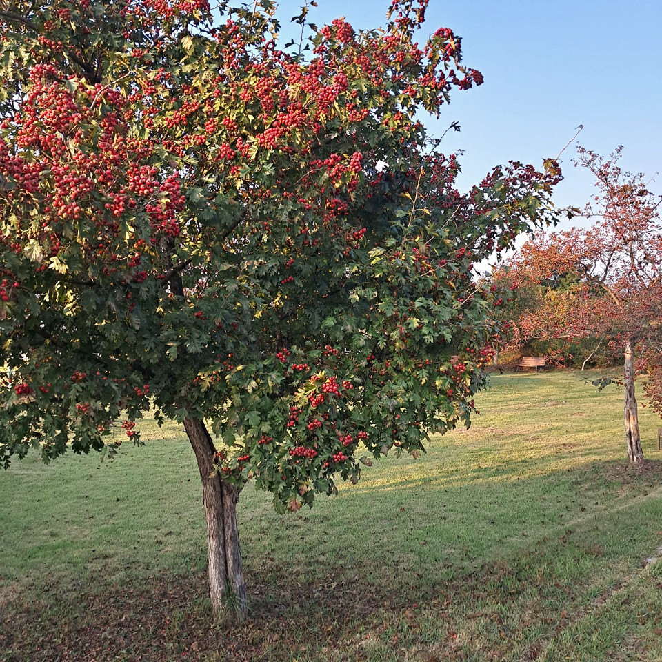 Южная Корея, отзыв5
