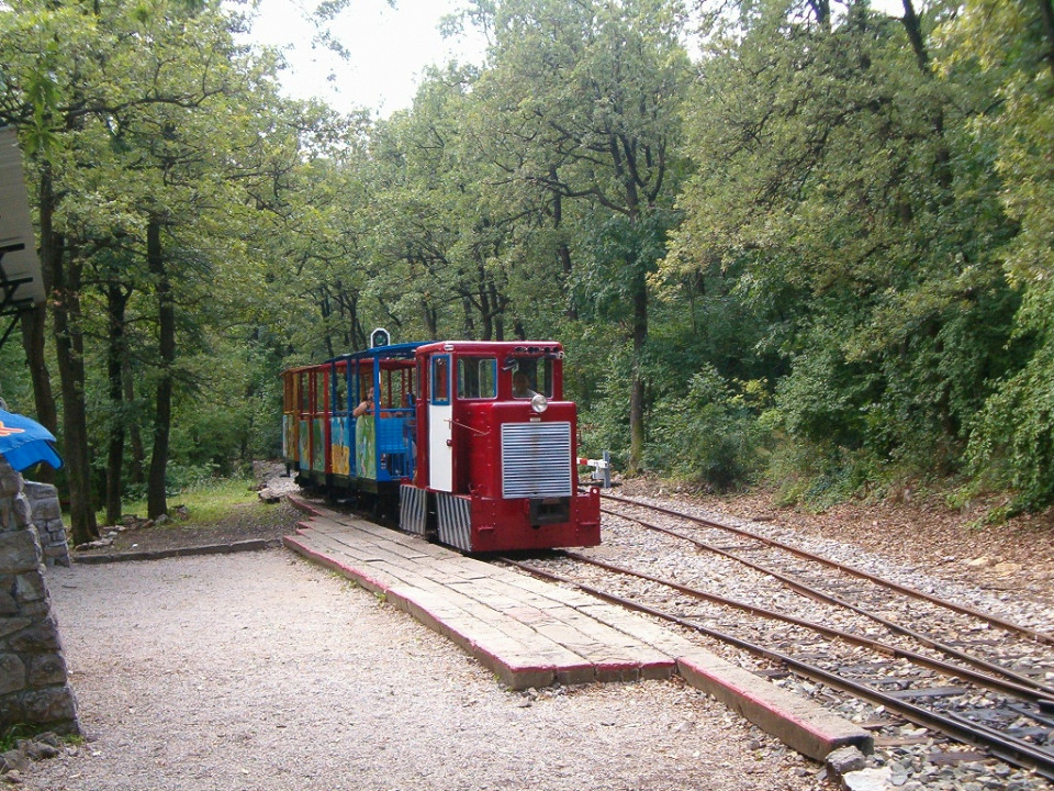 Лесная железная дорога в Пече