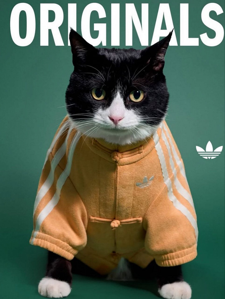 Мой опыт жизни в Китае: Шанхай для русского айтишника4