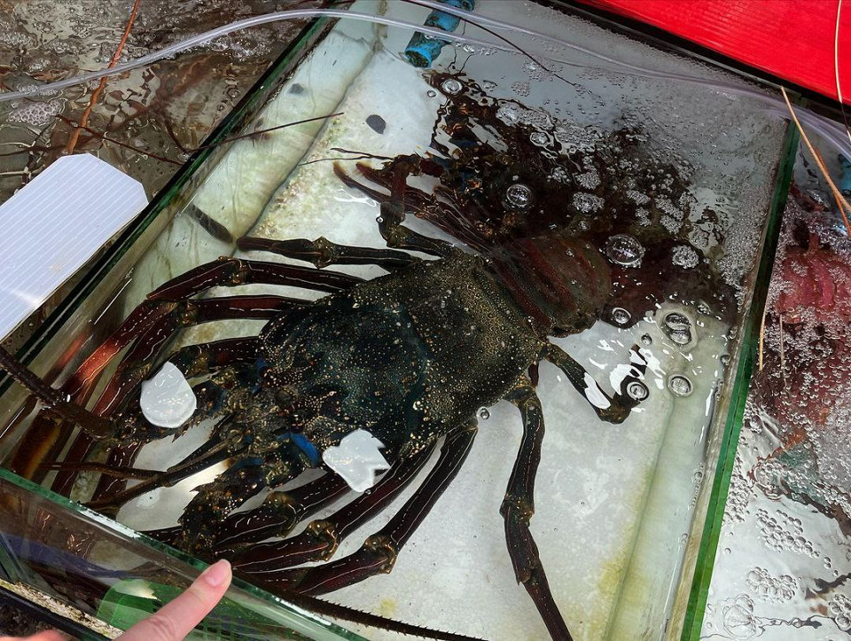 Живу на Пхукете 3 года. Несколько полезных советов новичкам8