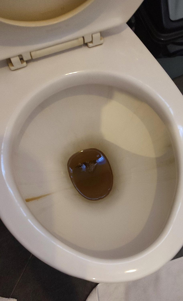 Отзыв о Бали унитаз