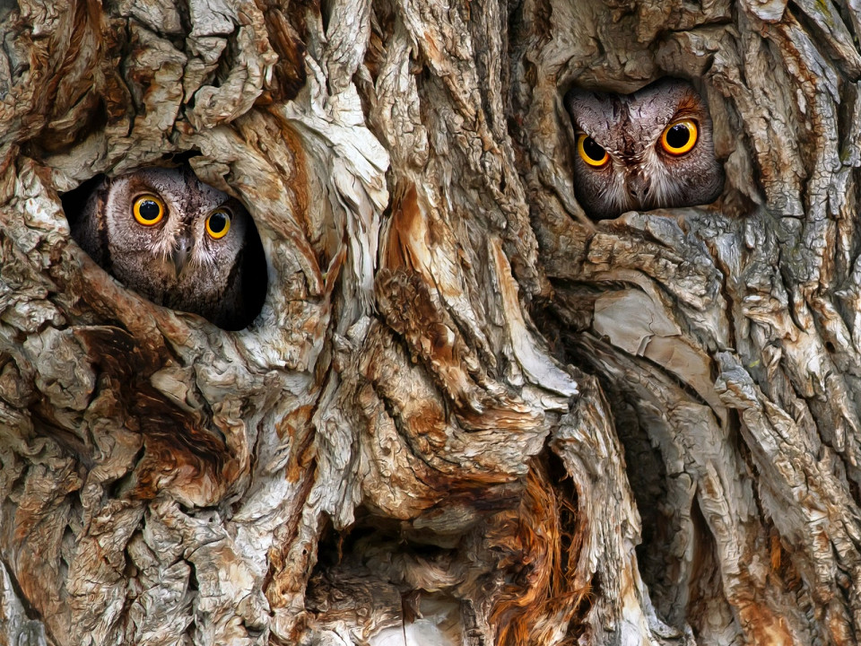 Сказки народов России 2