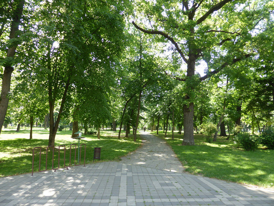 Тропинки Чистяковской рощи, Краснодар