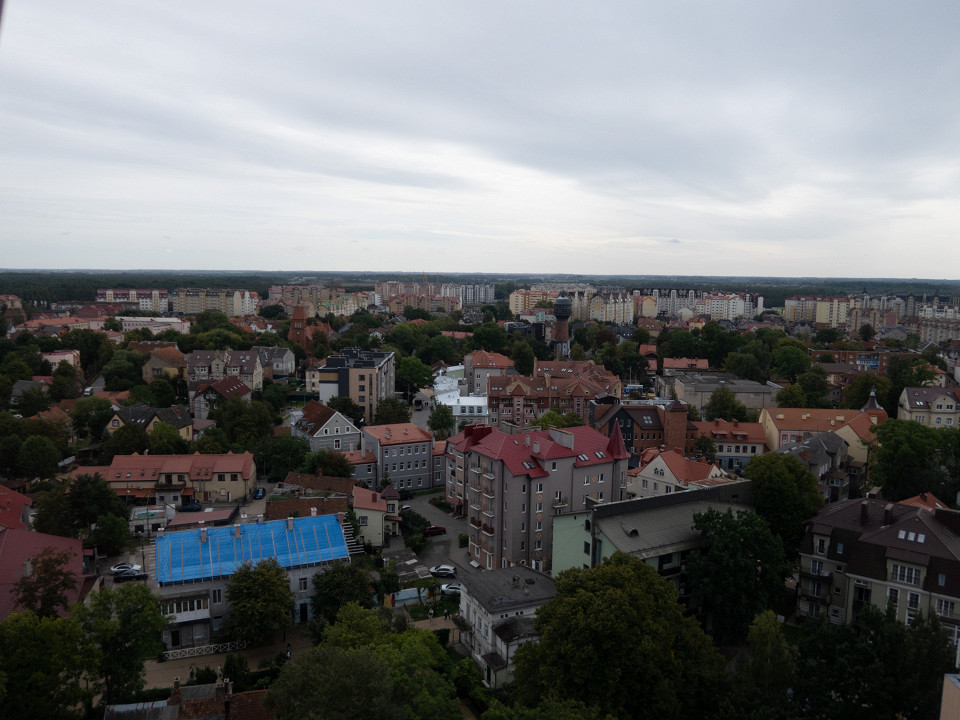 Калининград для стариков, отзыв4