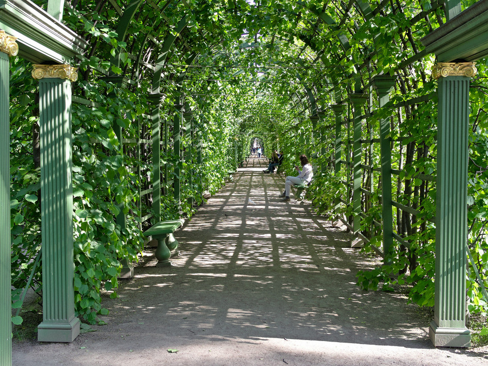 В летнем саду, Санкт-Петербург