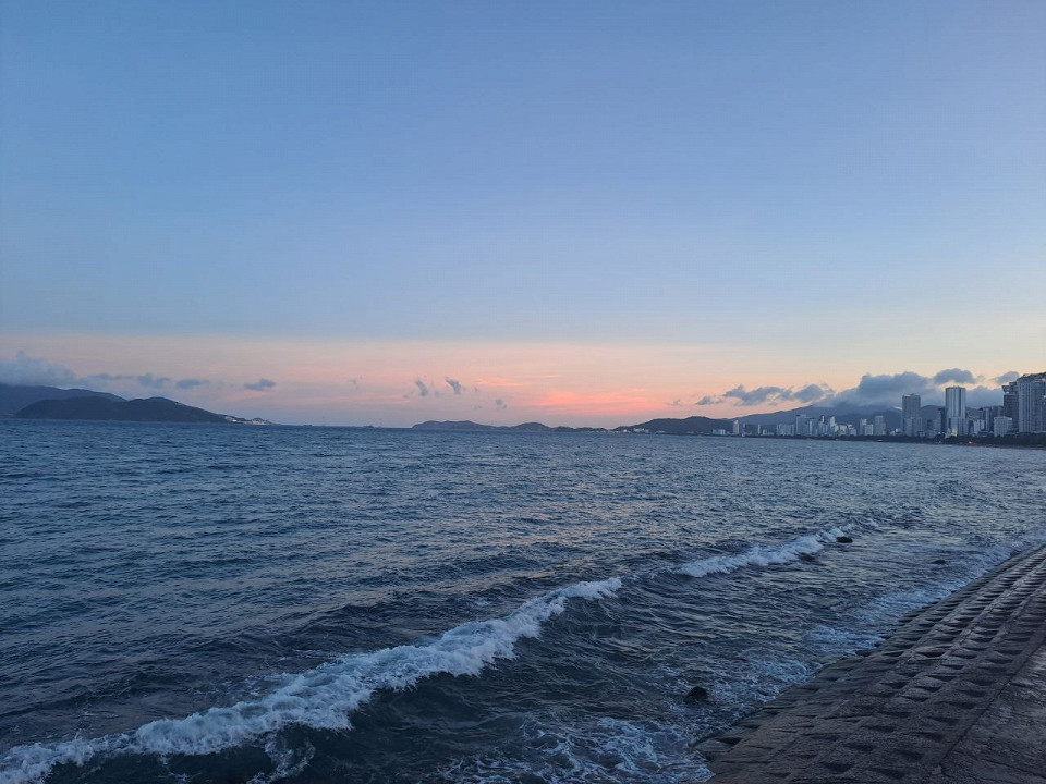 Таракан во Вьетнаме, отзыв7
