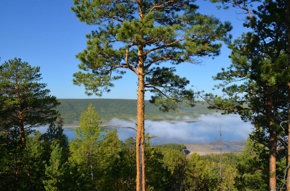 Олёкминский заповедник, утро