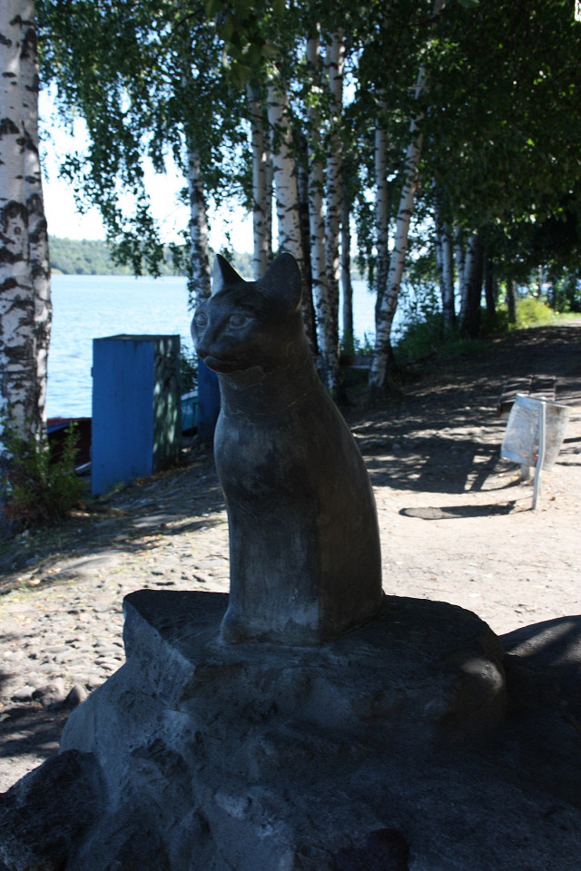 Плёсская кошка