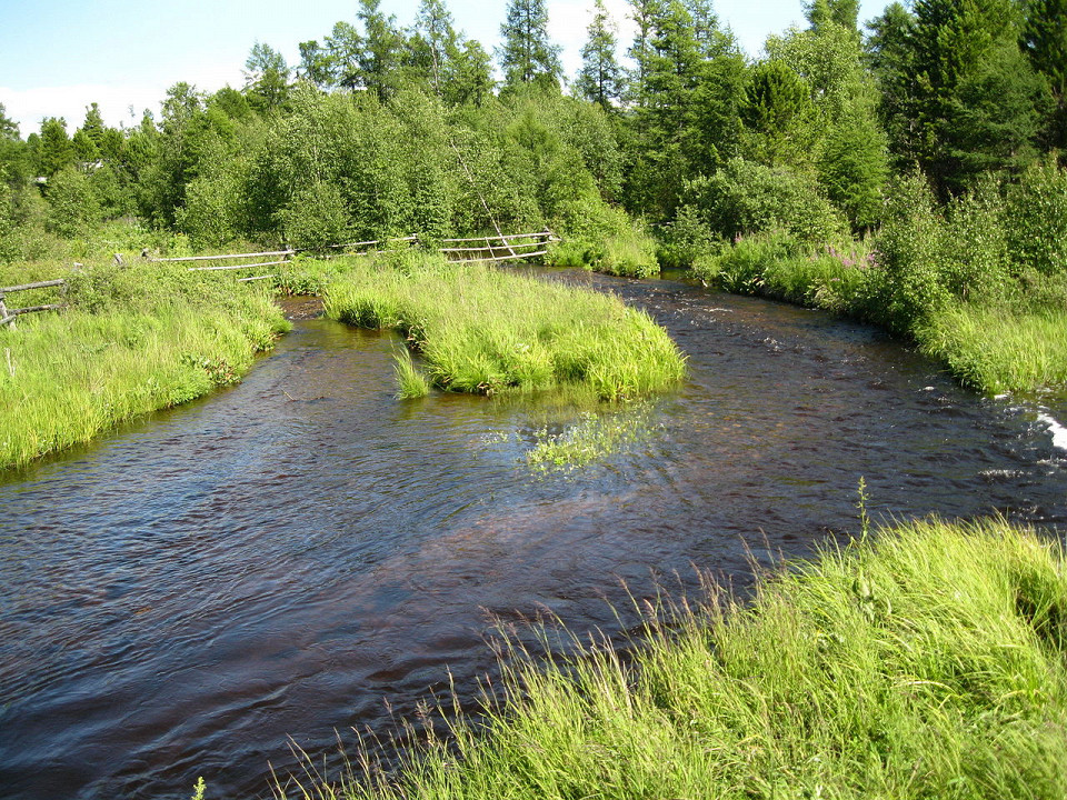 Баргузинский заповедник, река Давша