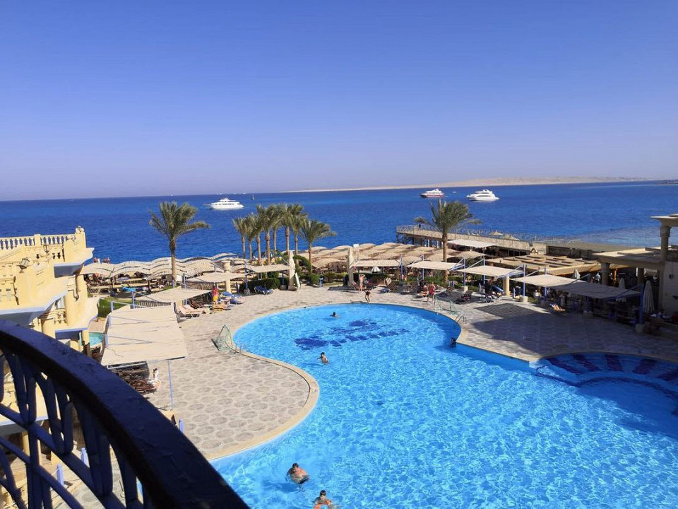 Пульт в пакетике, томные египтяне и собаки в бассейне2