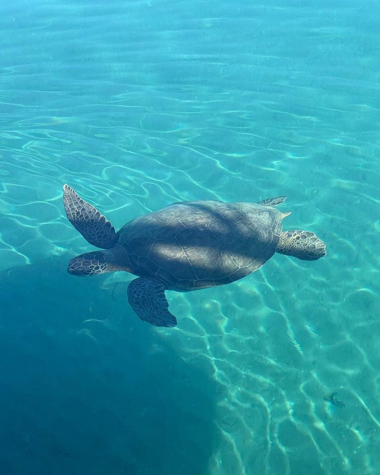 люксовые отели Турции по смешной цене11