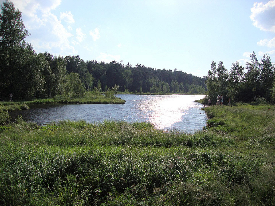 Озёрный лесопарк