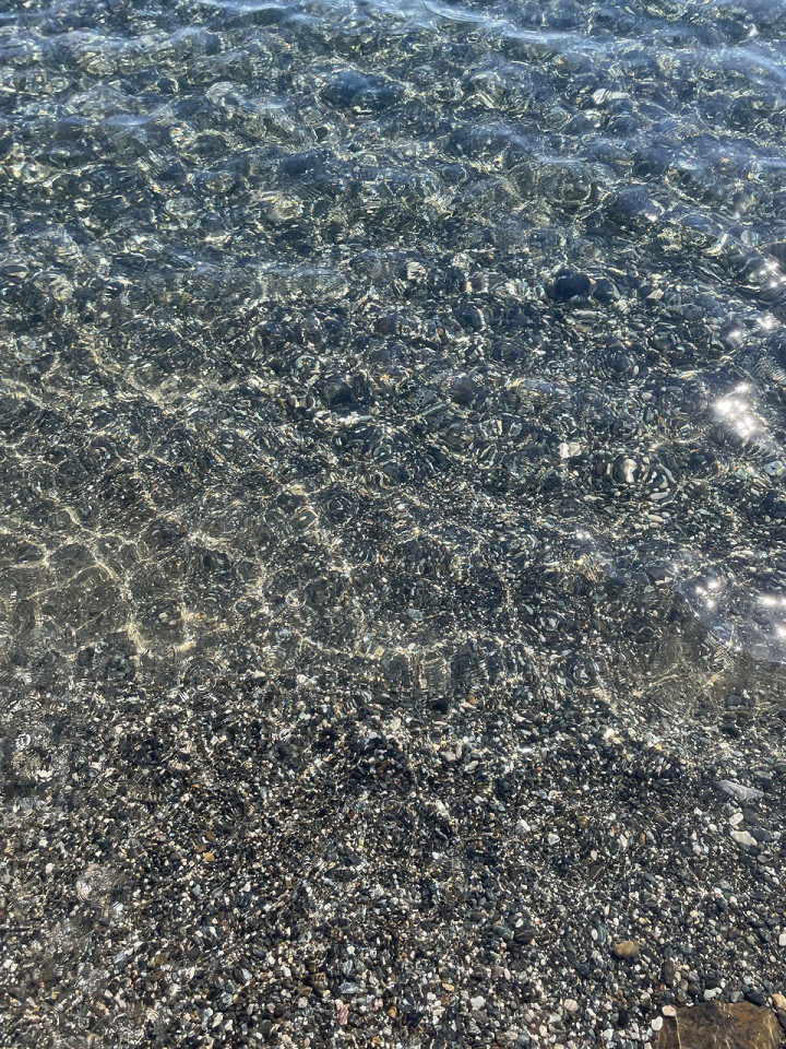 Беременная Турция, отзыв2