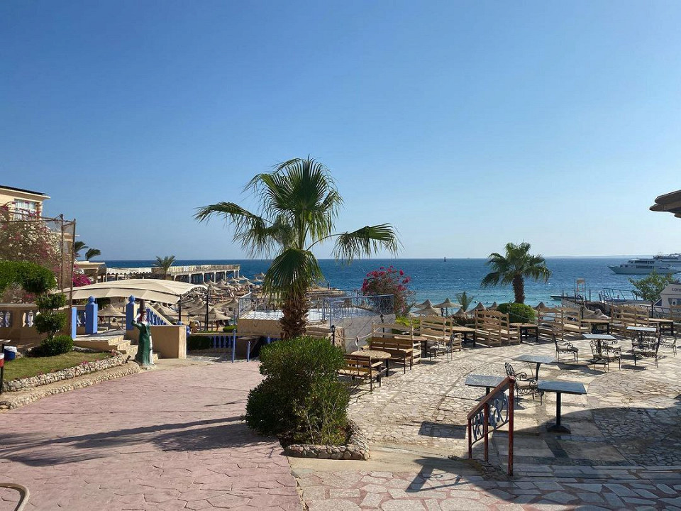 Пульт в пакетике, томные египтяне и собаки в бассейне9