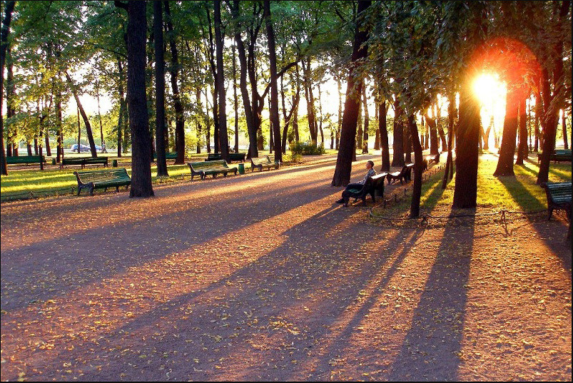 Летний сад, Санкт-Петербург