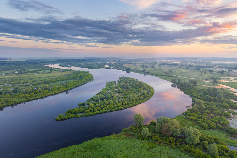 Республиканский биологический заказник Днепро-Сожский, Белоруссия