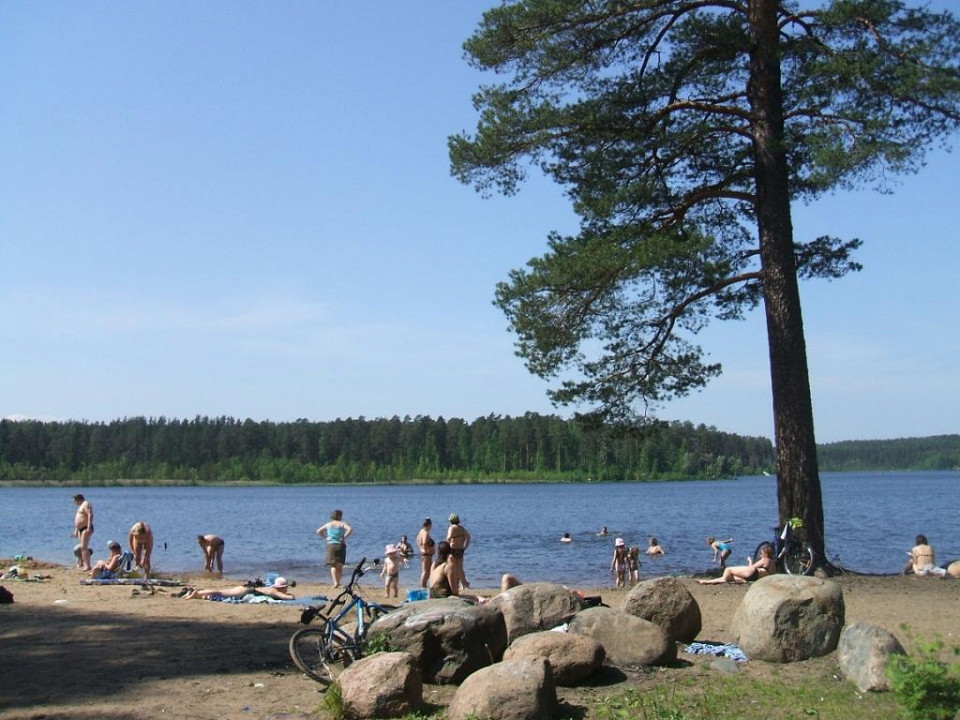 Пляж в Комарово
