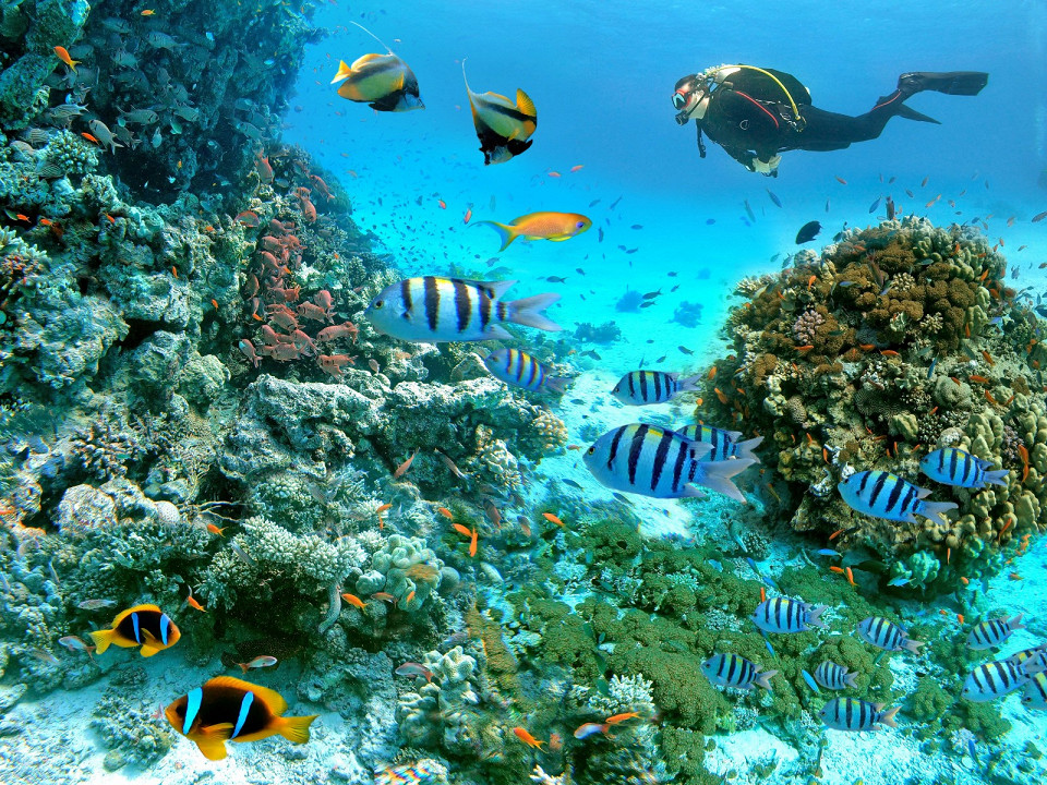 Как провести отпуск в Египте так, чтобы это не было банально 4