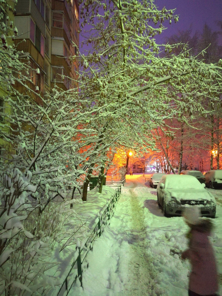Переезд из Латвии, отзыв2