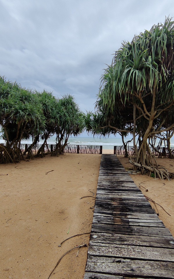 Шри-Ланка из Индии, отзыв7