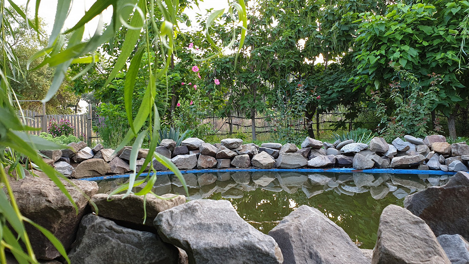 Забил на Турцию3