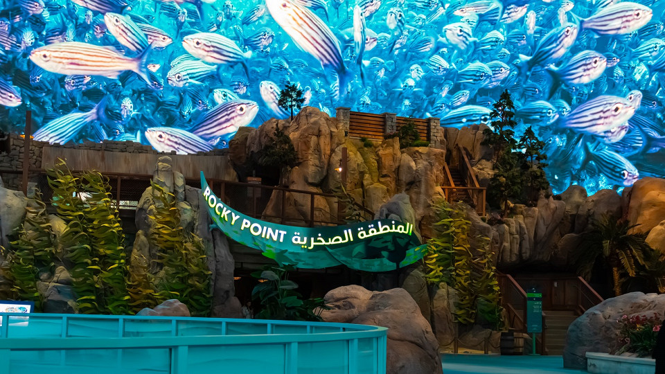 Океанариум SeaWorld на острове Яс, Абу-Даби, ОАЭ