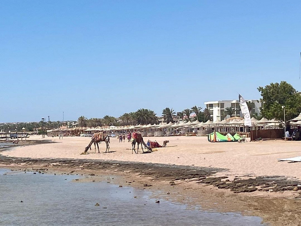 Персонал ленивый, но за доллар будут обожать и уважать8