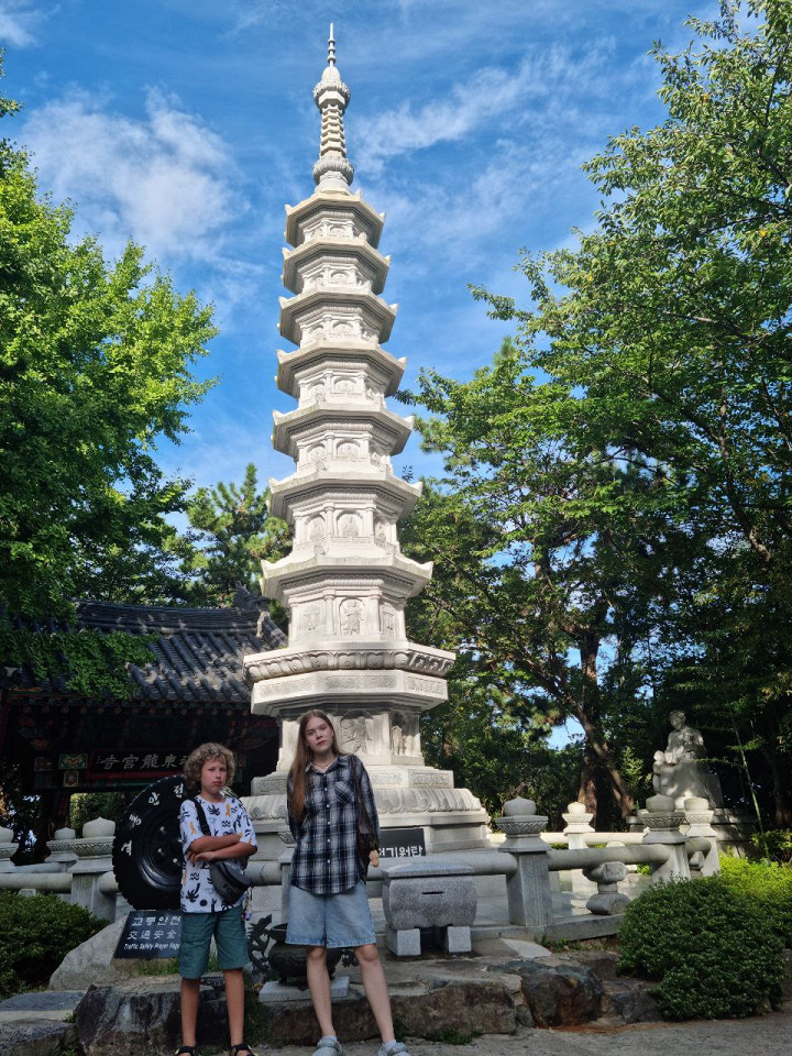 Очень приятный Пусан и никаких ужасов2