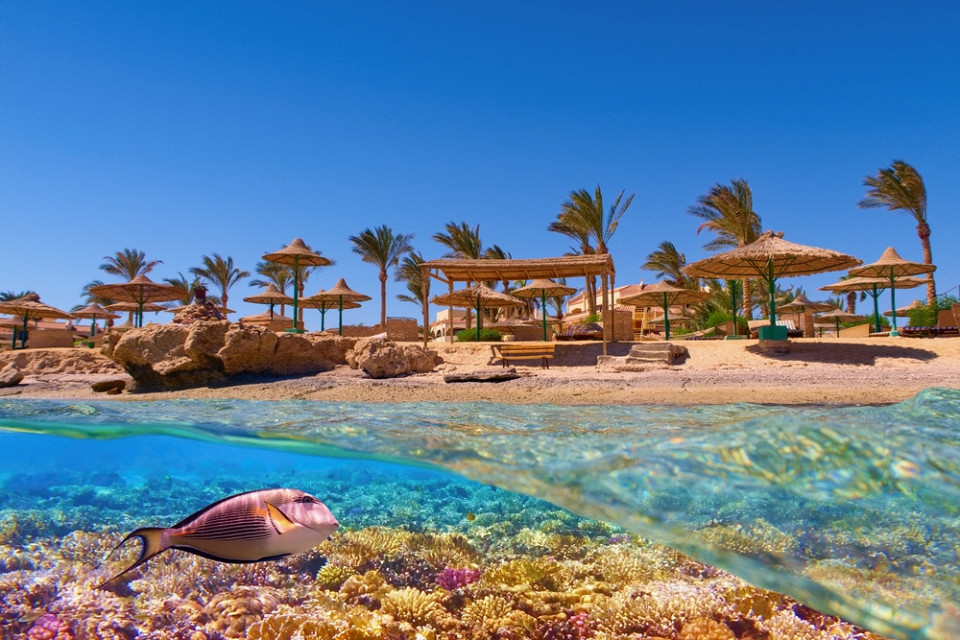 Красное море в Египте