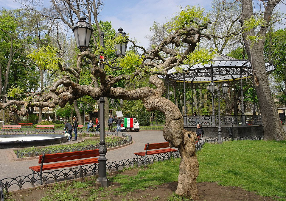 Городской сад Одессы